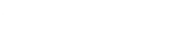customer